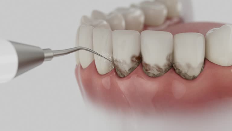 Reliable Dental contractor in Discovery Bay, CA by Dentist Open Now